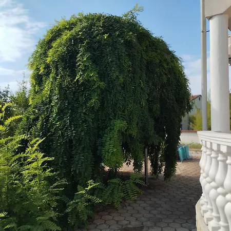 Tatil Evi A 